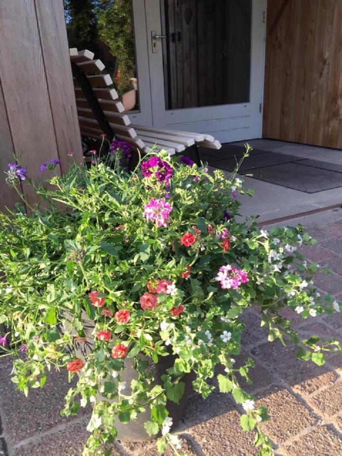 Erve Toon'Boer Bed and Breakfast Mander Εξωτερικό φωτογραφία